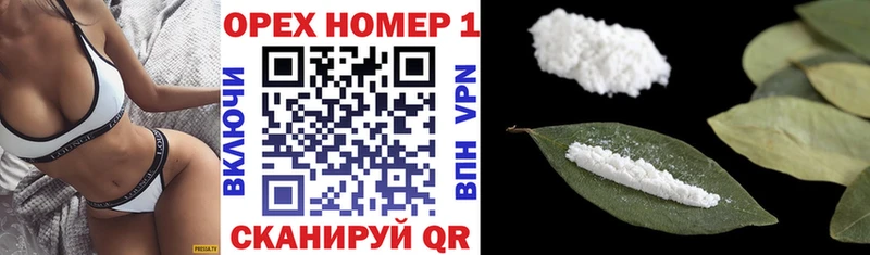 дарк нет официальный сайт  Южа  COCAIN FishScale  где купить наркотик 