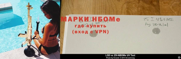 ПСИЛОЦИБИНОВЫЕ ГРИБЫ Верея