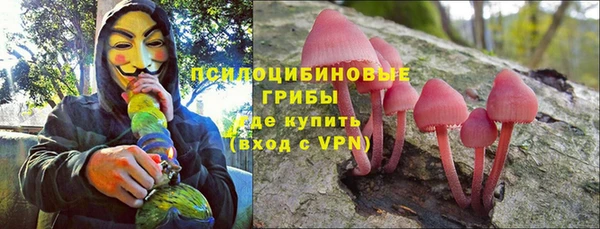 ПСИЛОЦИБИНОВЫЕ ГРИБЫ Верея