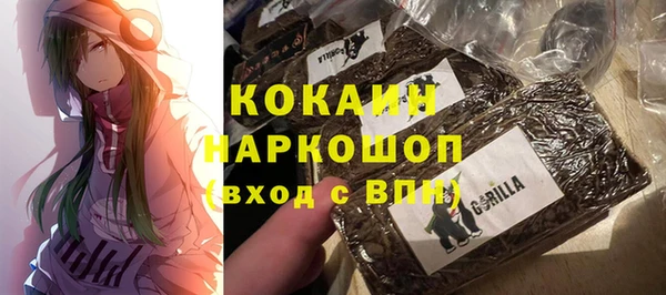ПСИЛОЦИБИНОВЫЕ ГРИБЫ Верея