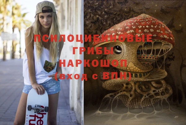 ПСИЛОЦИБИНОВЫЕ ГРИБЫ Верея