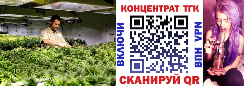это клад  где можно купить наркотик  OMG как зайти  Южа  Дистиллят ТГК вейп с тгк 